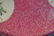 Set of Eight Chinese Pink Porcelain Tea Cups - 5