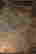 item-50405380=9