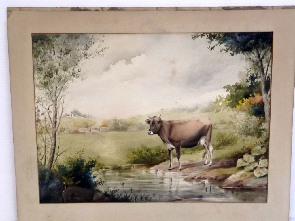 Original cow watercolor by Anton (1 of 4)