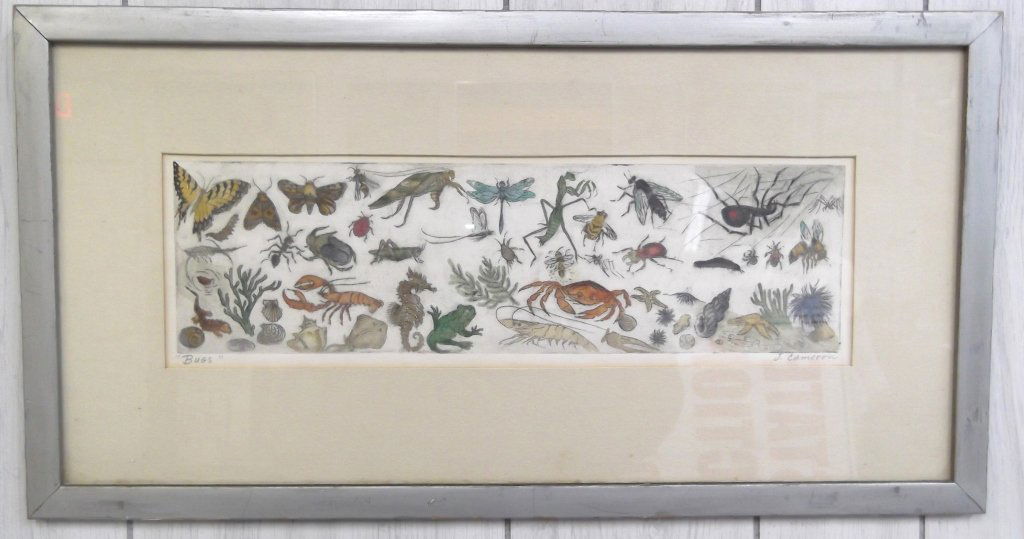 Bugs by J. Cameron (1 of 4)