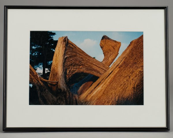 Glen Rhodes, 20/21st C, "Landscape Abstraction", p: Glen Rhodes 20/21st C "Landscape Abstraction" photograph Unsigned. Provenance: The Rhodes-Nadler Collection. Sight image 7 1/2" H x 11 1/2" W, framed.