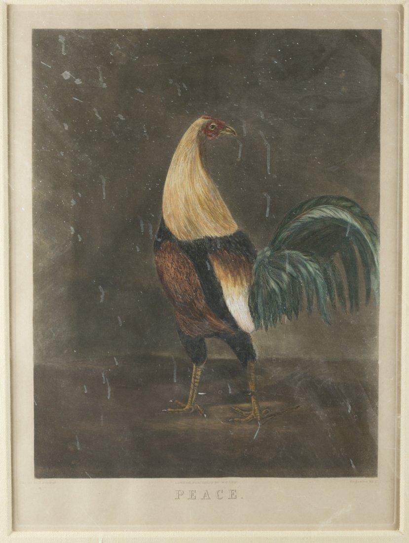After B. Marshall Engraved by C. Turner, "Peace": After B. Marshall Engraved by C. Turner ""Peace"" Engraving of a Rooster ""Peace"" Colored Engraving London, Published by W. C. Lee. Framed under glass. Visible strike plate. 21 1/4"" x 16"", frame: 3