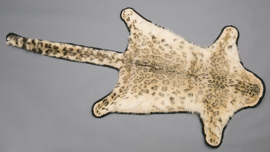 Himalayan Snow Leopard Skin Rug
