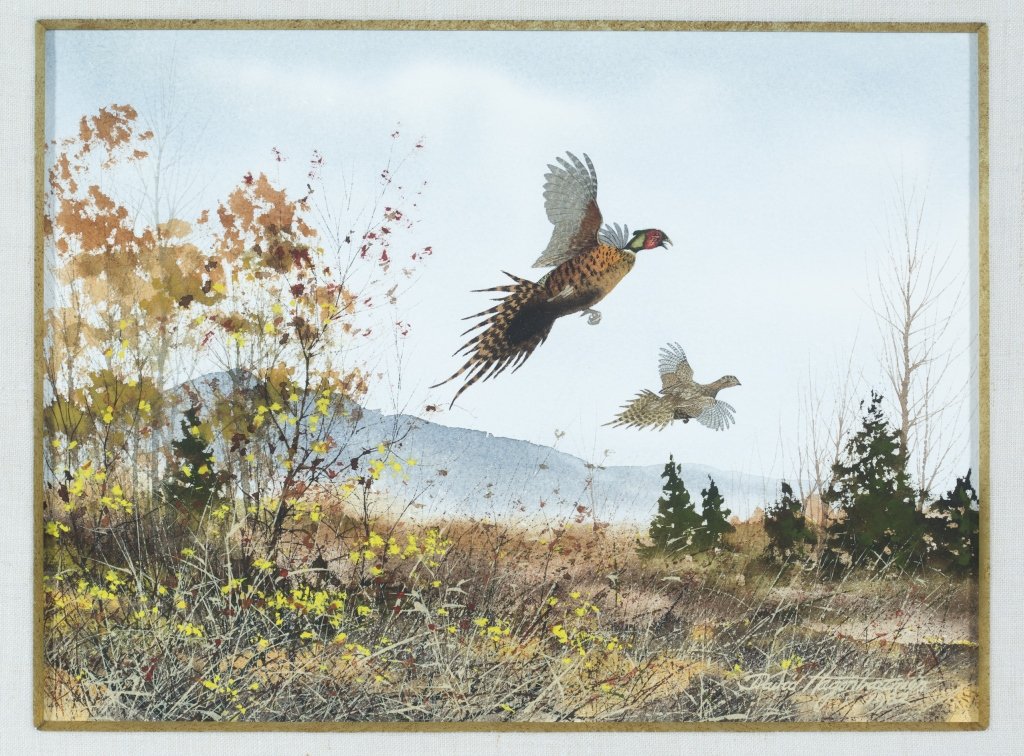 David Hagerbaumer "Pheasants Rising": American (b. 1921), Watercolor, 1982, signed lower right. Image size 11" x 15", Frame 21" x 24 3/4"