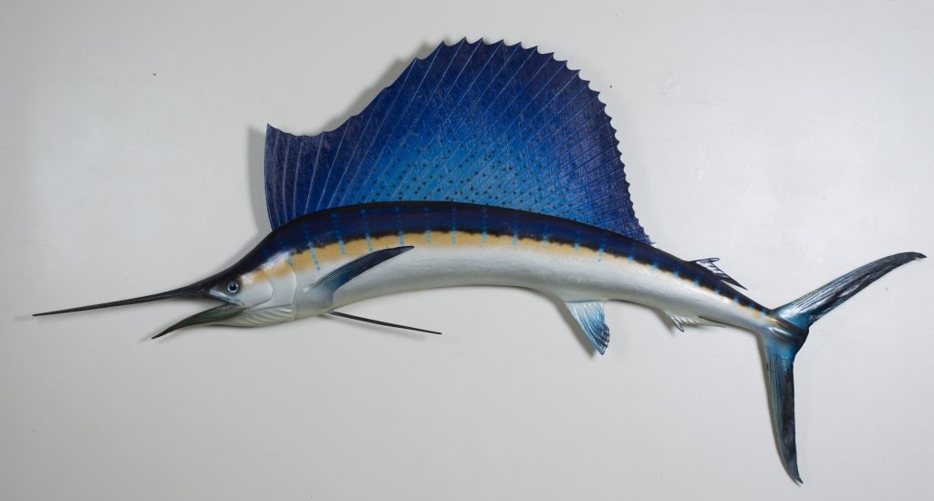 Sail Fish: Sail Fish 44 1/2" H x 104 1/2" W x 6 1/2" D