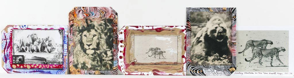 Peter Beard (US/New York, b. 1938).: "Cats, Southern Serengeti". 1976. Initialed u.r. Painted polaroid. ++ Untitled Lion painted polaroid. 1964. initialed l.r. ++ "Cats." 6-1960. Initialed l.r. Painted polaroid. ++ "Ndulu, S. Serengeti f