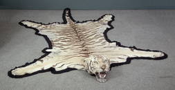 A 1920s tiger skin, the mounted head with glass eyes an
