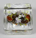 A Paul Stankard square glass paperweight - “M34”- With 