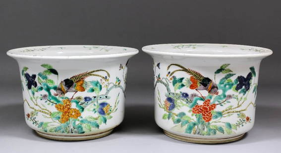 A pair of Chinese “Famille Verte” porcelain jardinières: A pair of Chinese “Famille Verte” porcelain jardinières decorated with exotic birds on branches, 9ins (229mm) diameter x 6ins (153mm) high )late 19th/early 20th Century)