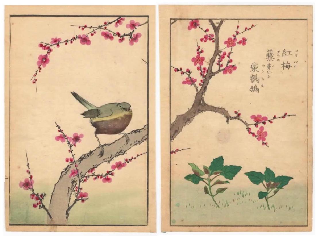 DIPTYCH WOODBLOCK PRINT JAPANESE BUSH WARBLER (1 of 7)