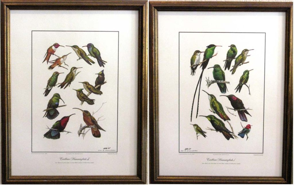 2 DON ECKELBERRY SIGNED HUMMINGBIRD LITHOGRAPHS: 2 DON ECKELBERRY SIGNED HUMMINGBIRD OFFSET-LITHOGRAPHS: 2 piece lot to include Caribbean Hummingbirds I and I, from "Birds of the West Indies", James Bond; both initialed and dated (19)68 by the artis