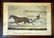 AFTER CURRIER & IVES LITHOGRAPH LADY THORN