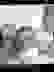 item-45610029=6