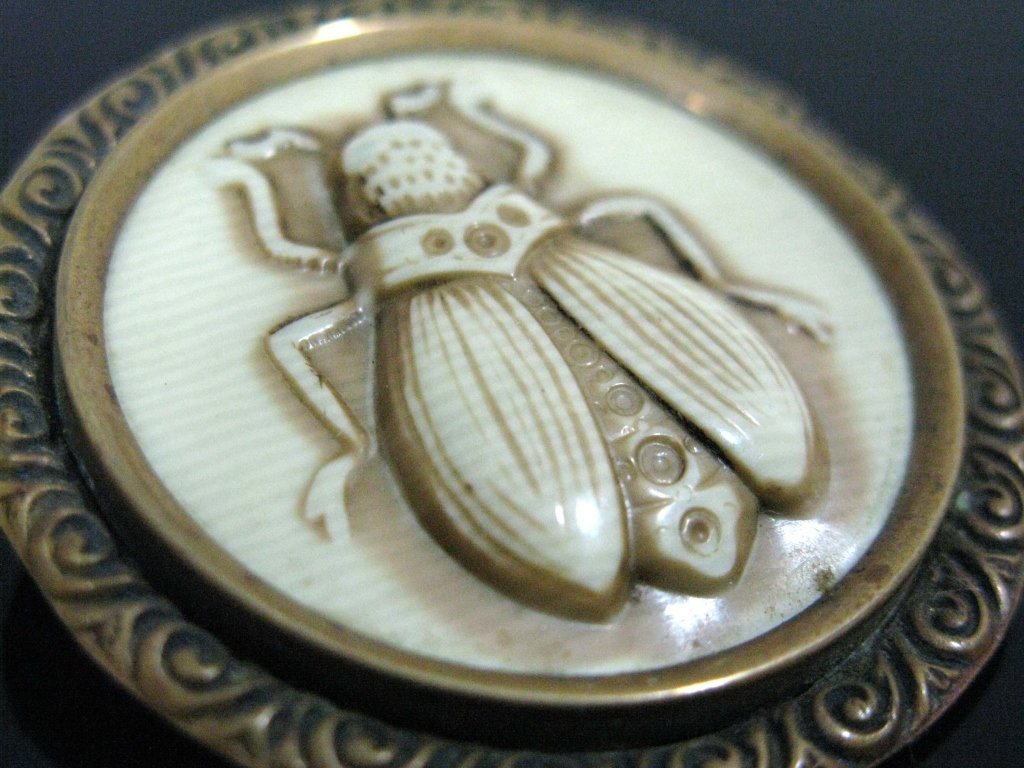 MOST UNUSUAL CELLULOID & BRASS INSECT BROOCH / PIN (1 of 4)