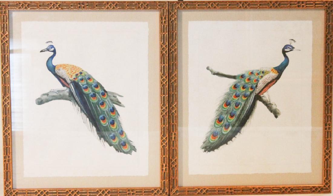 Pair Art Deco Watercolors of Peacocks (1 of 1)