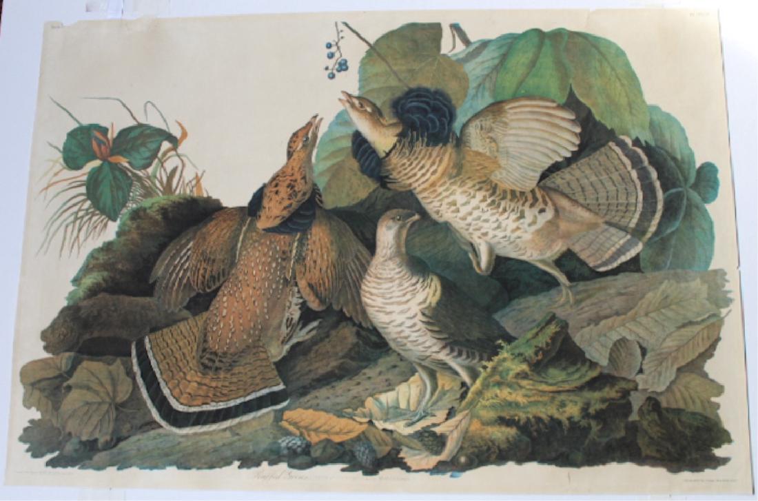 John James Audubon (1 of 7)