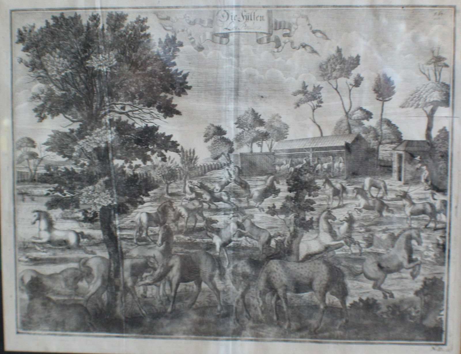 Abraham Van Diepenbeke (1 of 1)