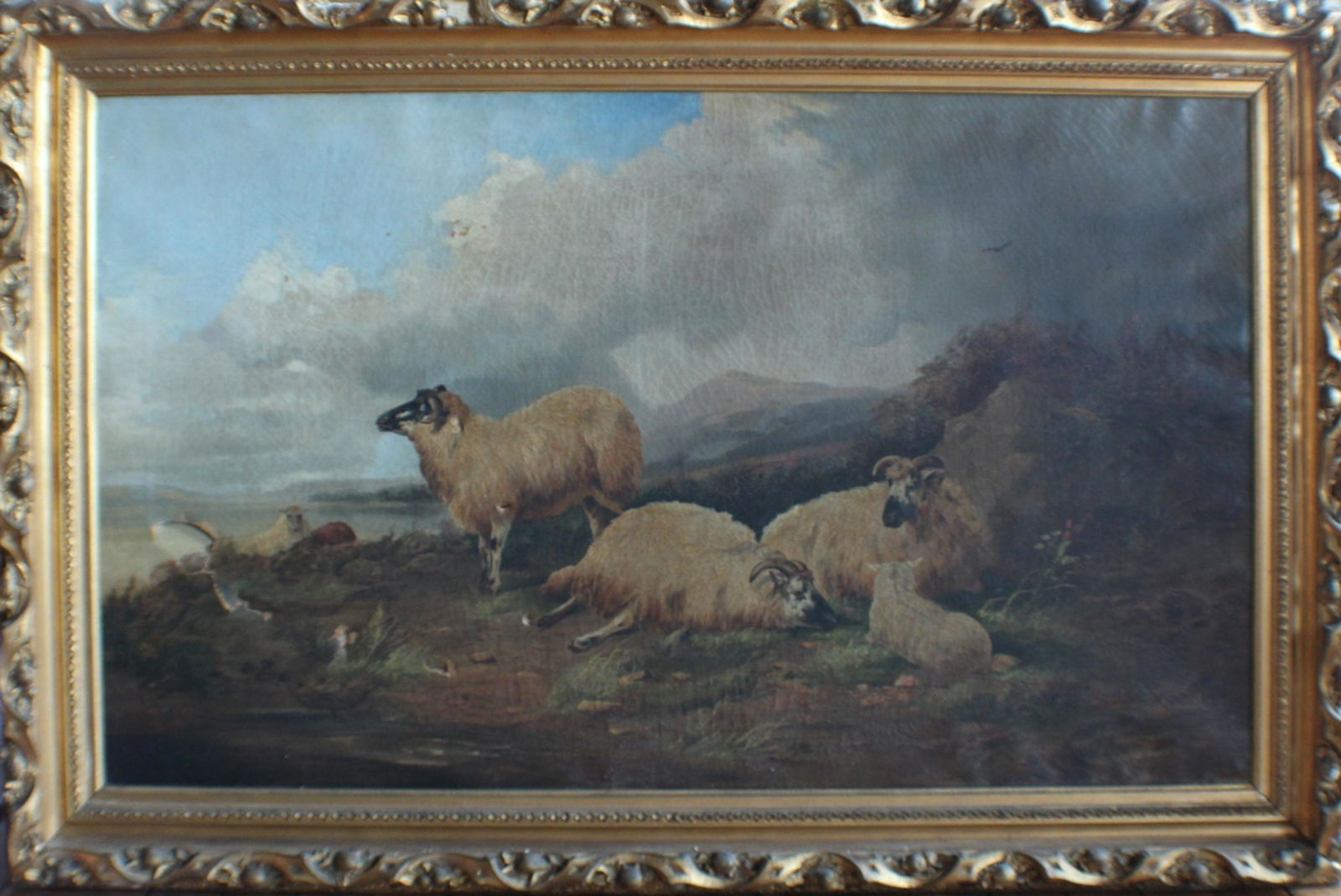 John Charles Morris (1 of 4)