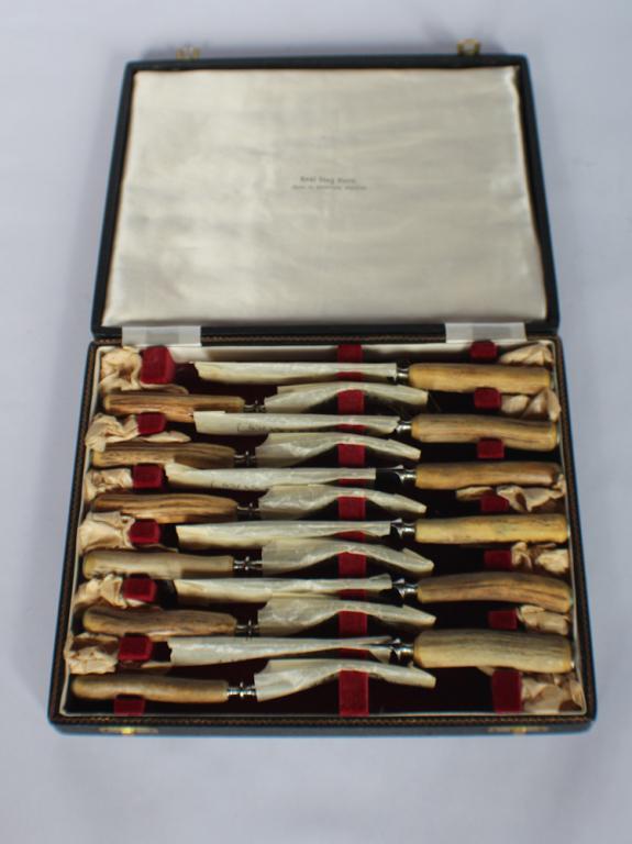 Sheffield Cased Stag Horn Dinner Forks & Knives (1 of 2)