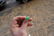 Fine Chinese Gold & Jade Deco Ring - 3