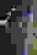 item-82282016=2