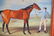 British School Sporting Oil - 3
