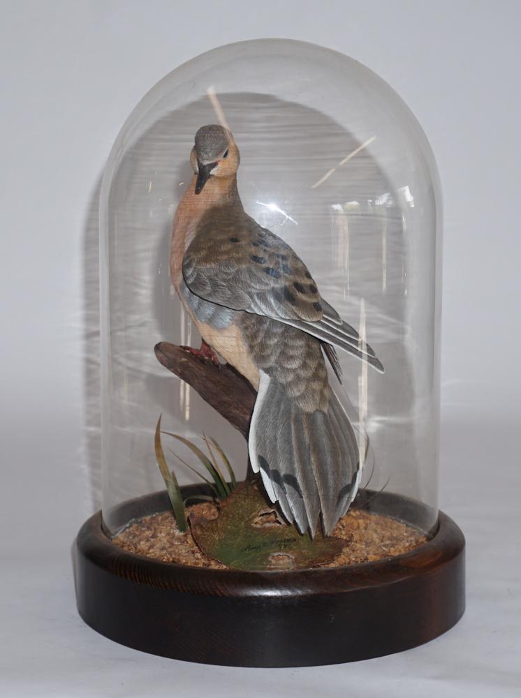 Very Fine Carved Dove by L O Horseman (1 of 3)