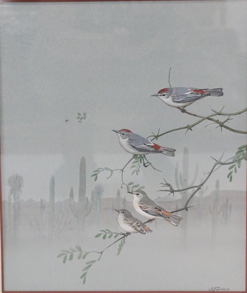 Edward Von Siebold Dingle (1 of 4)