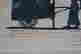 item-110545772=3