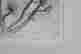 item-110545777=2