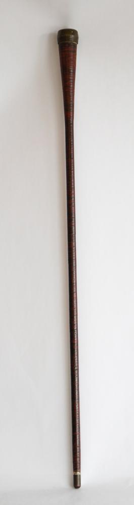 Antique Leather Cane of US Government Interest (1 of 2)