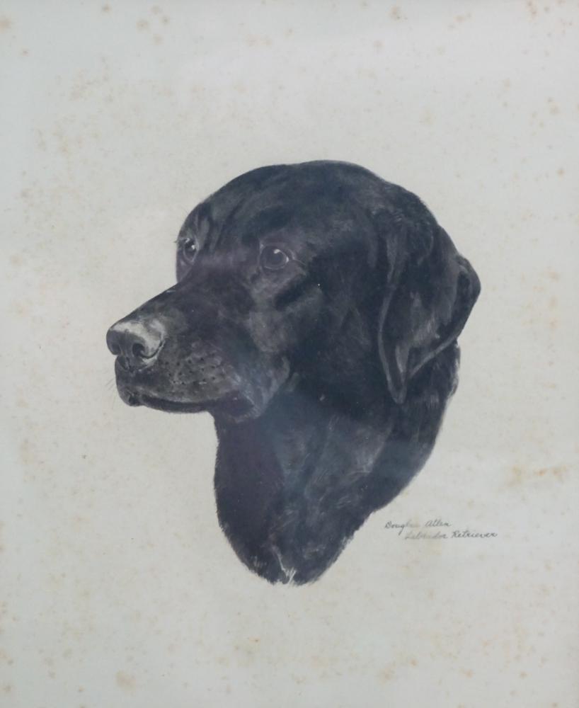 Douglas Allen (1 of 3)