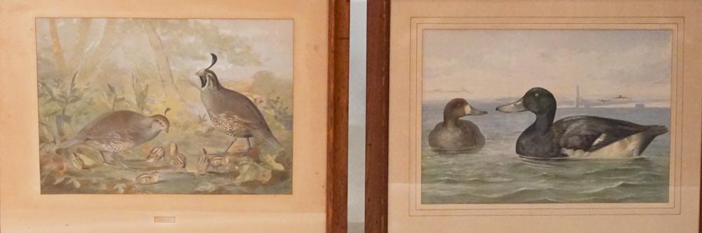 Two Antique Chromolithographs by Alexander Pope (1 of 3)