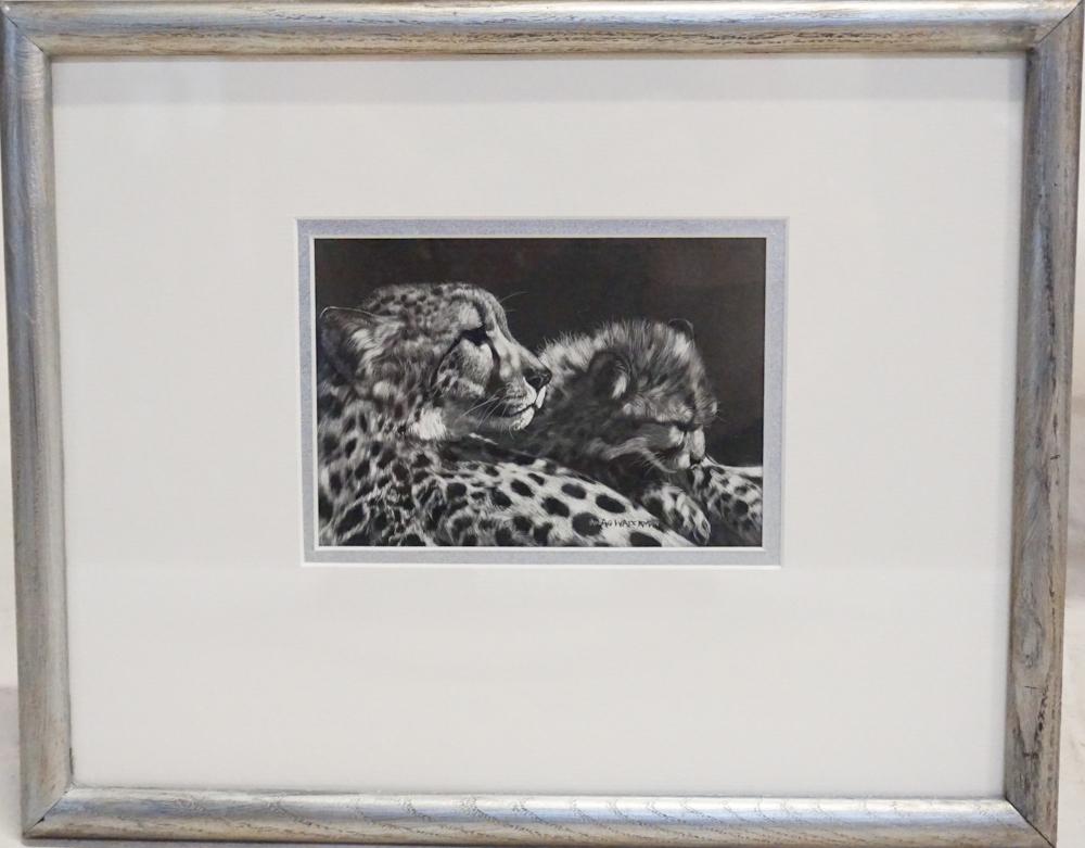 Paula Waterman (1 of 1)