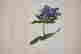 item-121182816=5