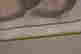 item-121182830=3