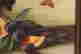 item-121182834=5