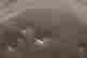 item-121182879=2