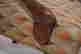 item-129381599=2