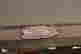 item-129381711=3