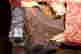 item-135744066=13