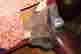 item-135744066=14