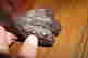 item-135744066=16