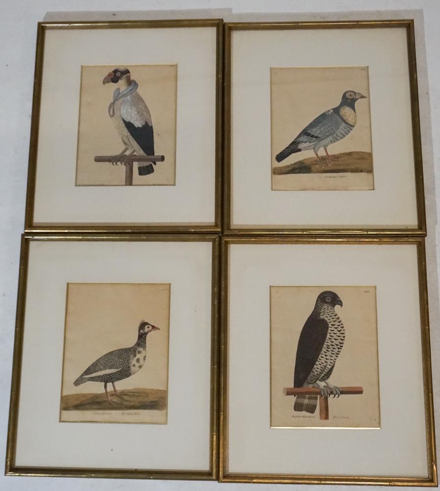 Set Four 18th Century Hand Colored Bird Engraving (1 of 5)