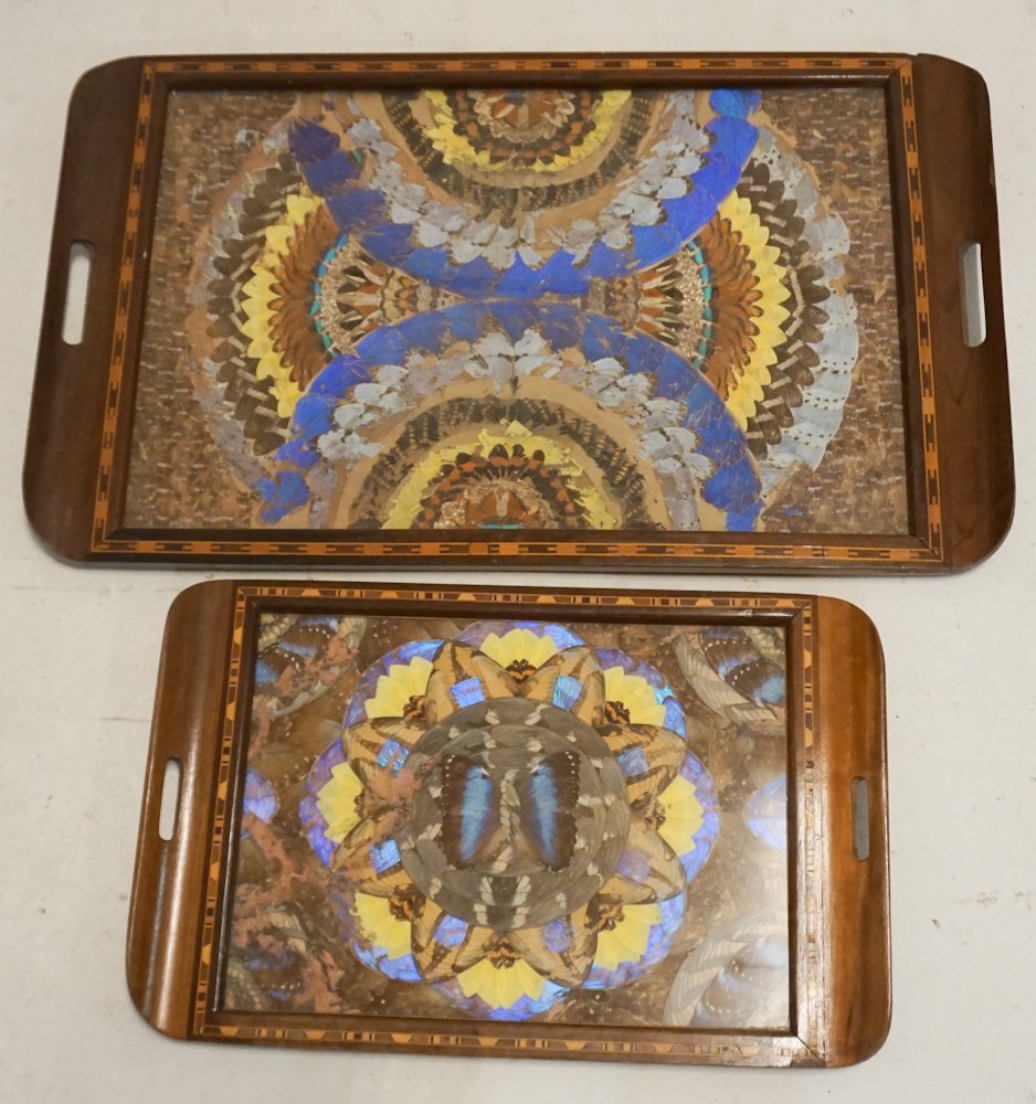English Edwardian Taxidermy Inlaid Mahogany Tea Trays (1 of 3)