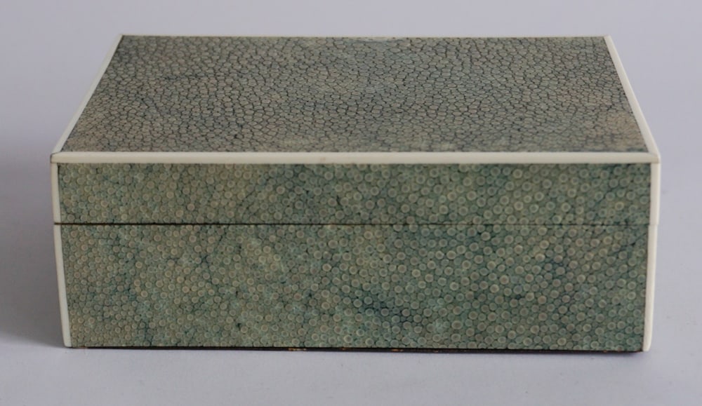 Natural English Shagreen Edwardian Box (1 of 4)