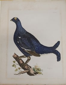 Predeaux John Shelby