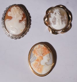 Collection Antique Victorian Shell Carved Brooches