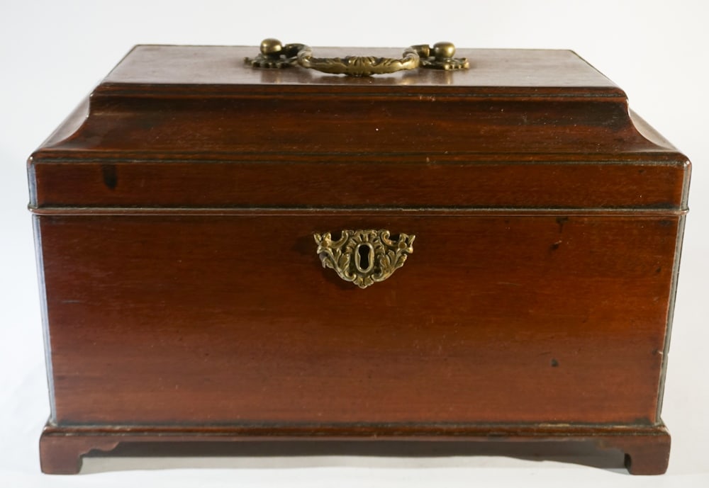 Fine English George III Mahogany Tea Caddy (1 of 3)