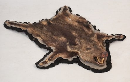 Charming Vintage Taxidermy rug